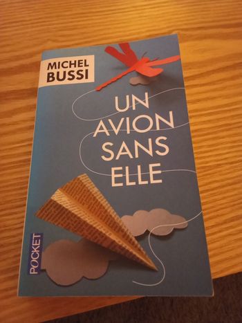 Roman de Michel bussi