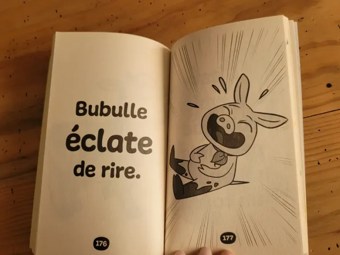 Livre pour première lecture - photo numéro 9
