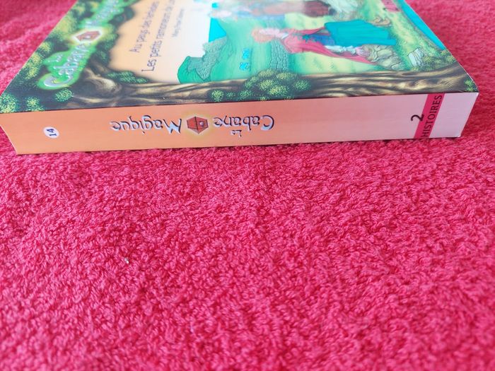 La cabane magique - photo numéro 2