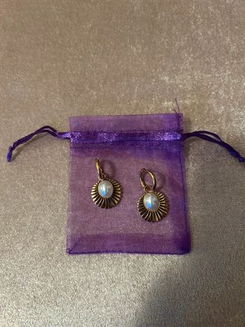 Boucles d’oreilles chic en acier inoxydable