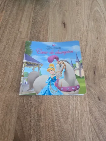Livre Cendrillon coeur de champignons disney