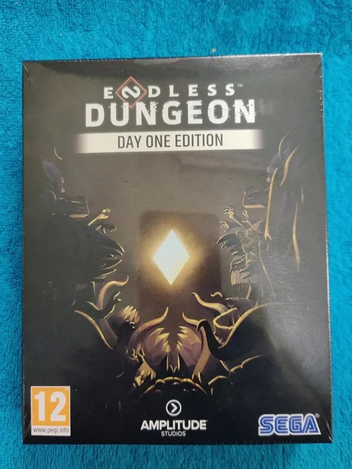 PC Endless Dungeon Day One Edition - photo numéro 1