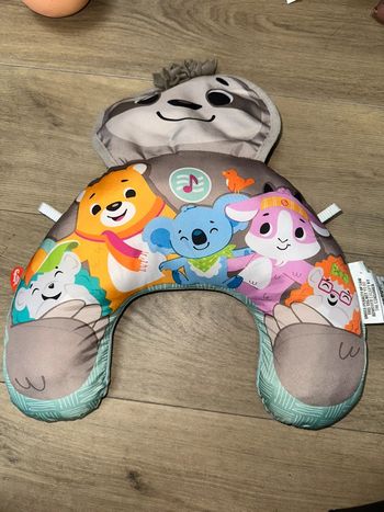 Coussin d'éveil fisher price
