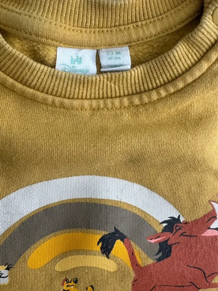 Pull Simba 23M - photo numéro 2