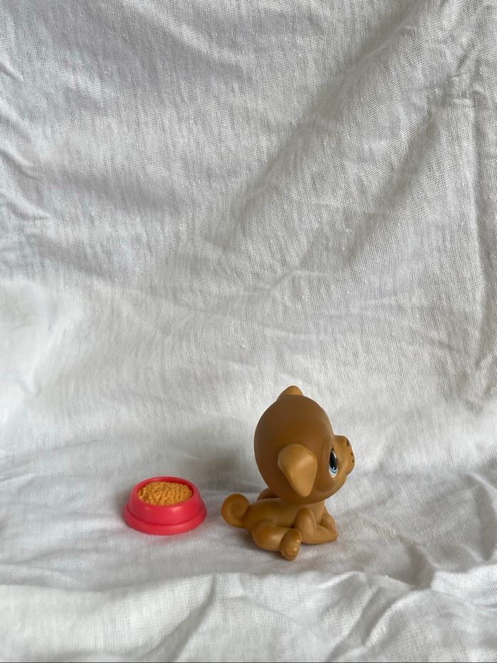 lps carlin - photo numéro 4