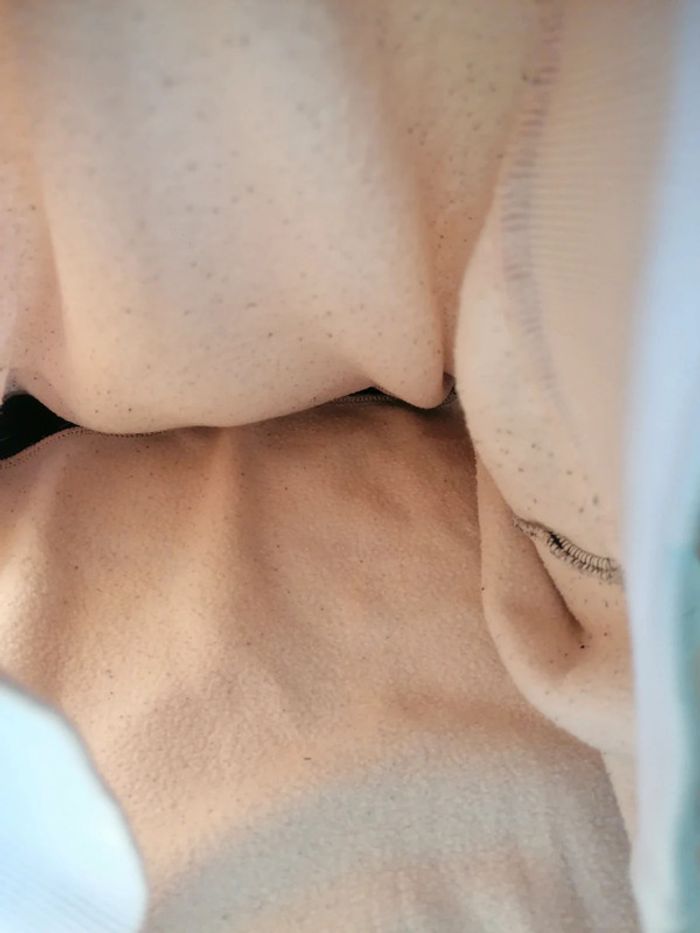 Sweat Champion - photo numéro 4
