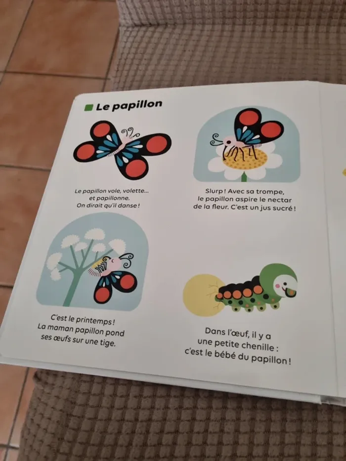 Livre "les petites bêtes " - photo numéro 3