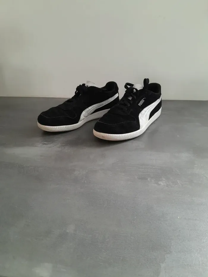Basket puma