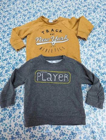 Lot de 2 sweats 9-12 mois