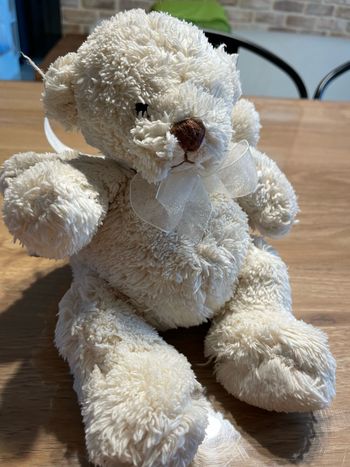 Ourson ange en peluche