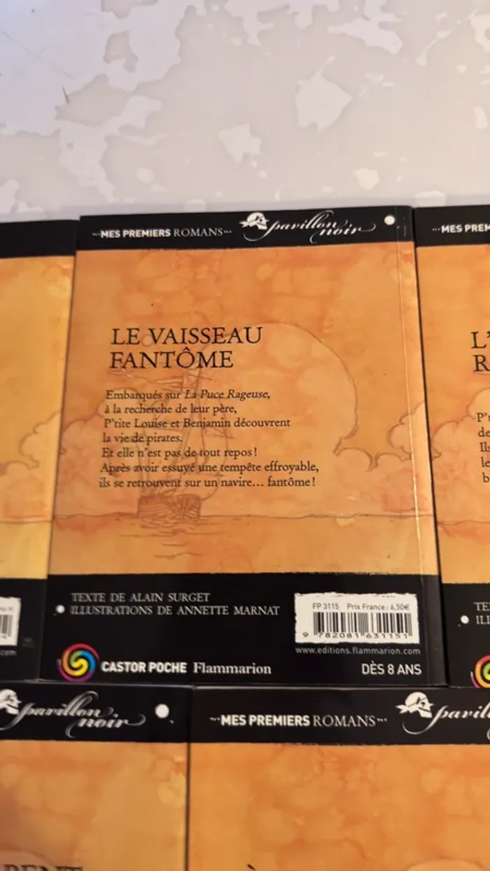 📚 Lot complet – Collection Les Frères Faucons 5 tomes – Alain Surget / Annette Marnat - photo numéro 14