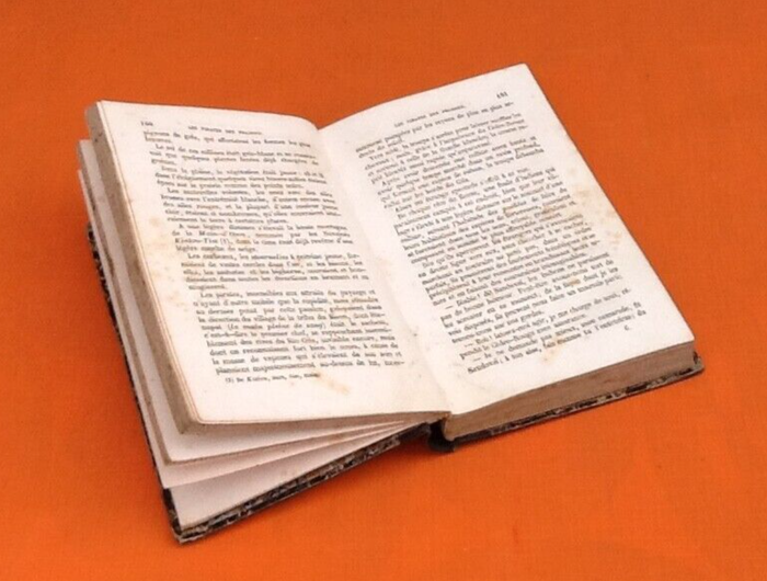 Gustave Aimard Les Pirates des Prairies (1858) - photo numéro 6