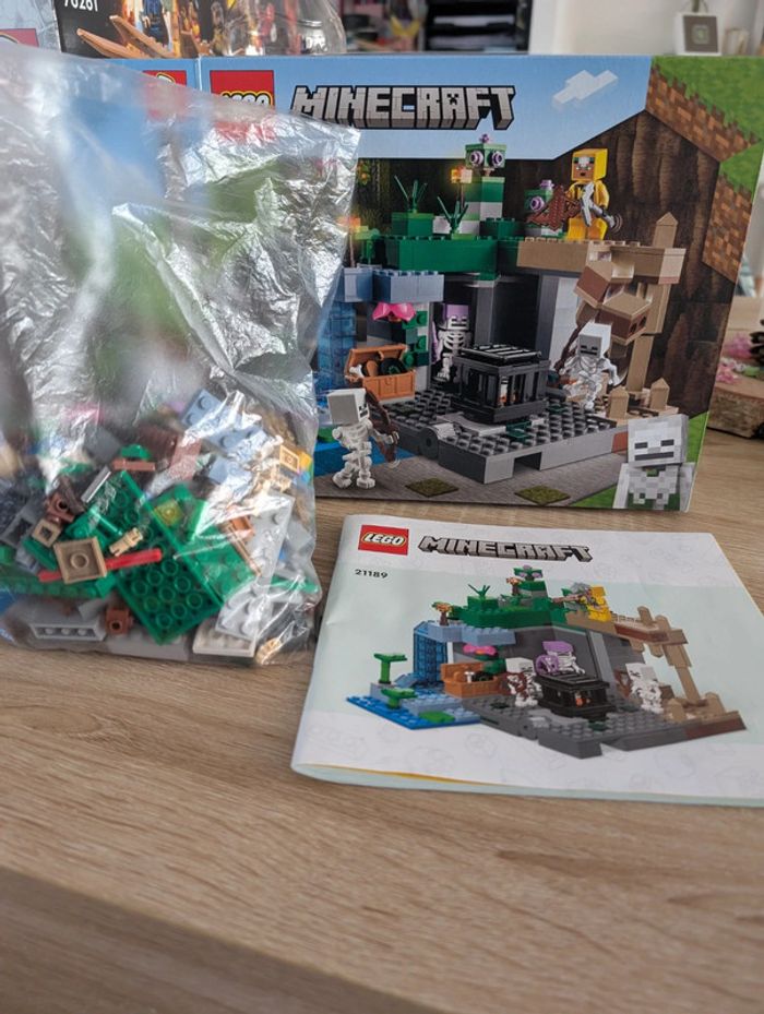 Lego Minecraft - photo numéro 3