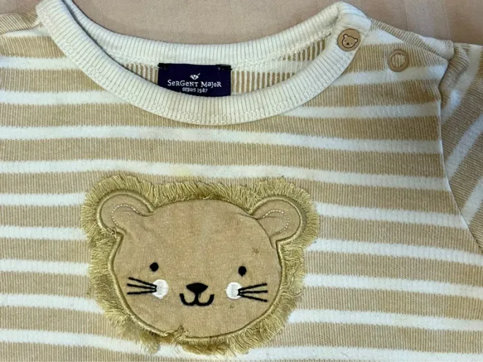 Pull lion - photo numéro 4