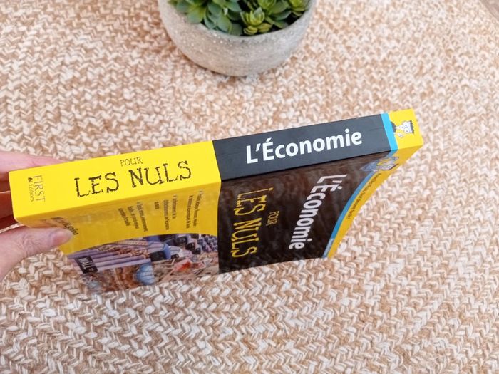 L'économie pour les Nuls - photo numéro 4
