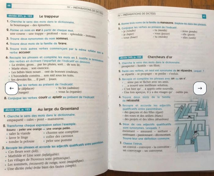 C.L.R. 450 dictées CM - photo numéro 4