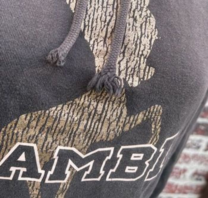 Sweat à capuche Disney gris foncé – motif Bambi 🦌 Taille 36 - photo numéro 4