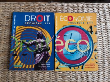 Lot de livres 1ère STT économie et droit