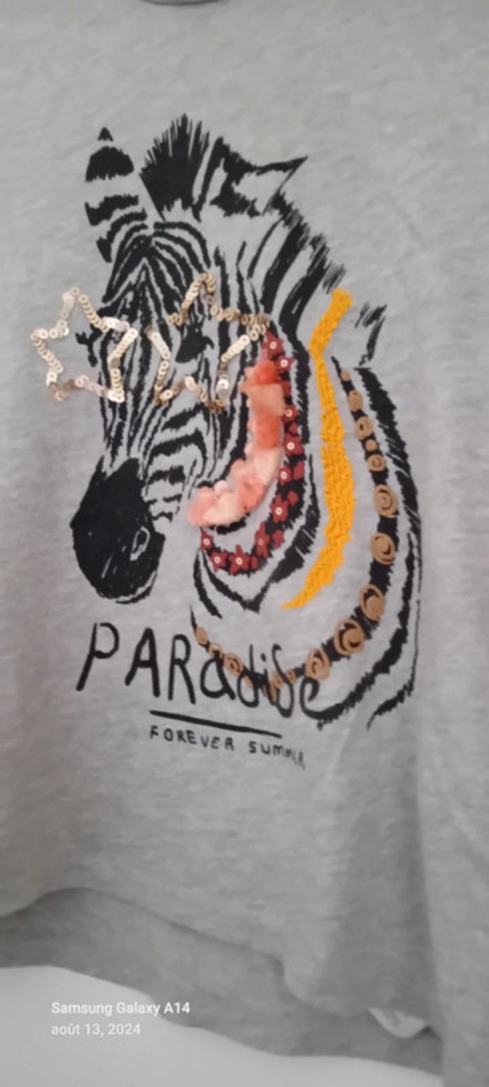 Tee shirt motif zèbre avec sequins et pampilles gris fille 10 ans vert baudet - photo numéro 4