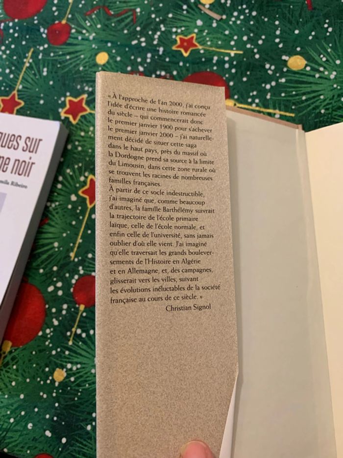 Les Noëls blancs - photo numéro 6