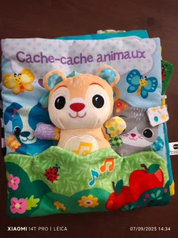 Grand livre toudoux des découvertes VTech