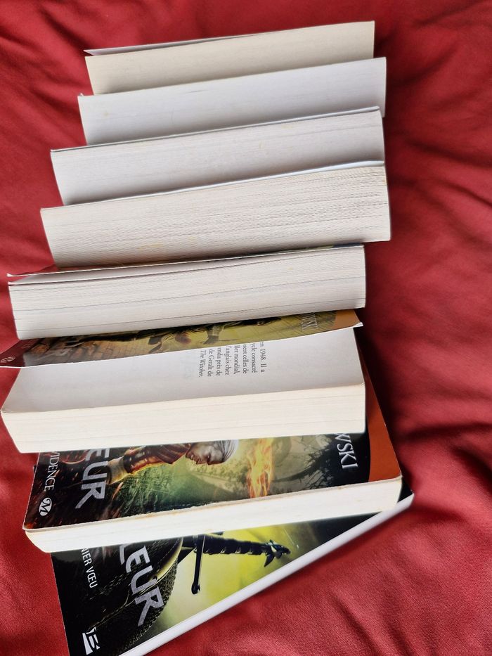 Intégrale saga du Sorceleur The Witcher - photo numéro 5