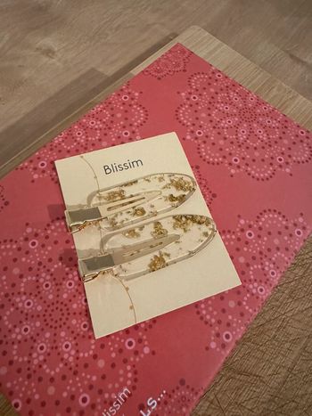 Blissim pinces à cheveux