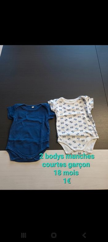 Lot 2 bodies manches courtes garçon 18mois
