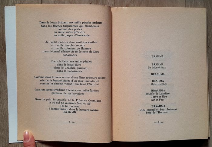 Hélène Hamanii Badjannah - Mahâvatar et la couronne de la terre - photo numéro 9