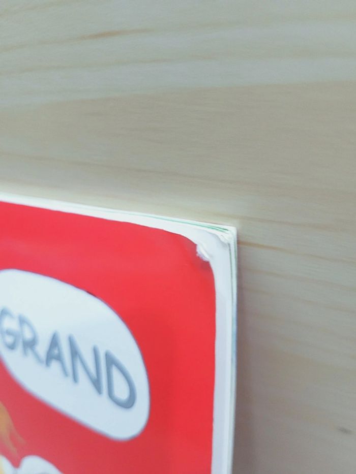 🌺 Livre (école des loisirs) : Grand - photo numéro 7