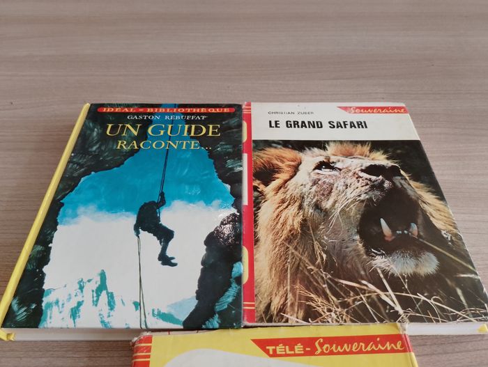 Lot de 3 livres, Divers (idéal bibliothèque)(12) - photo numéro 2