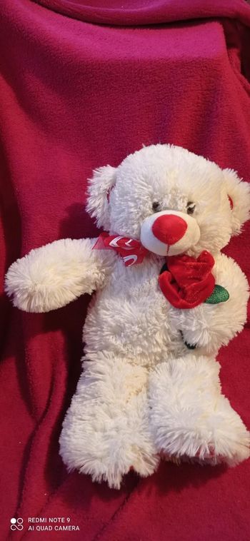 Ours blanc avec sa rose