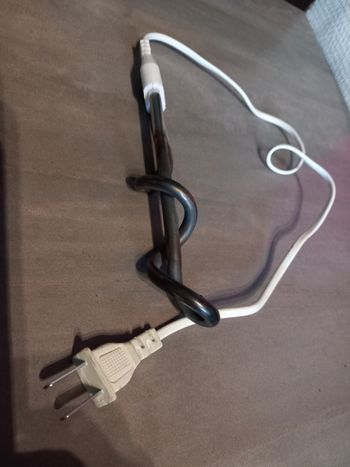 Chauffe eau electrique pour tasse 