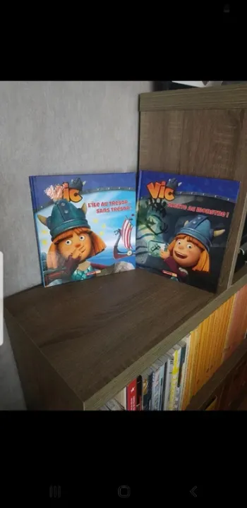 Lot de 2  livres  Vic  le viking