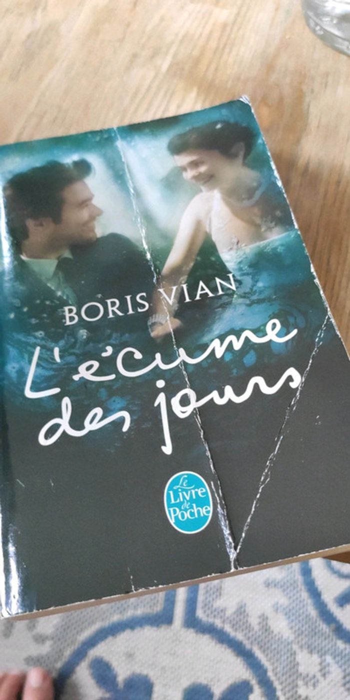 L'écume des jours