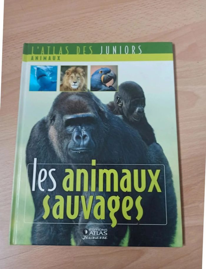 Lot 5 livres sur les animaux 🛑 - photo numéro 7