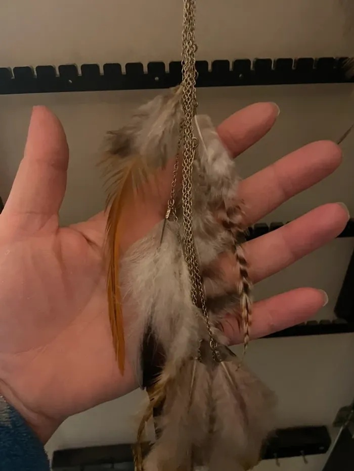 Grande boucles d’oreilles plume 🪶