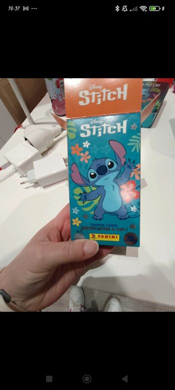 Carte panini stitch 