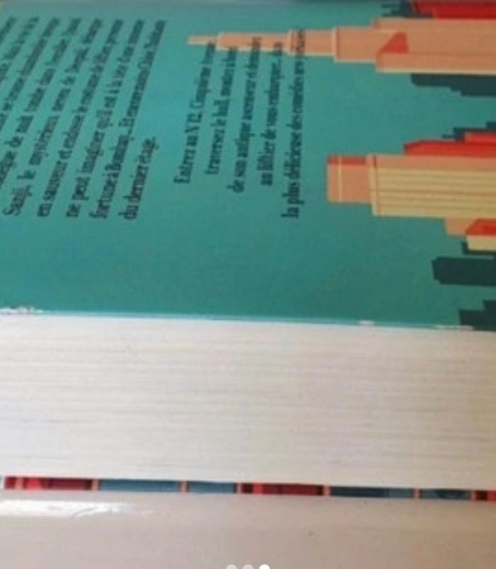 Une fille comme elle- Marc LEVY 🌸 - photo numéro 3