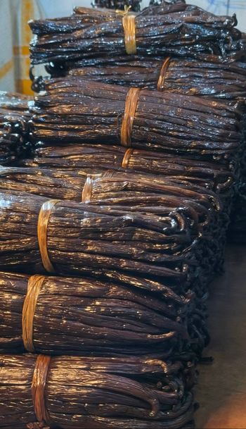 Lot de 10 gousses de vanille - qualité premium