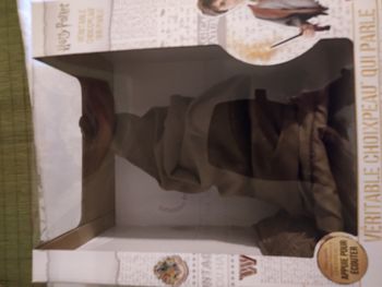 Choixpeau Harry Potter, le chapeau parlant de Poudlard