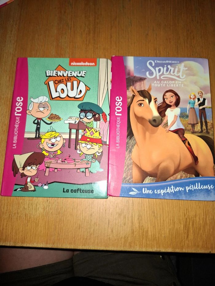Livres la bibliothèque rose