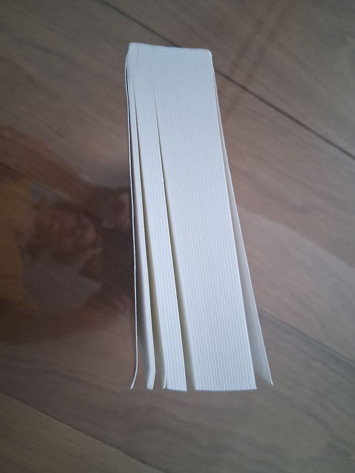 Livre Musso Skidamarink - photo numéro 3
