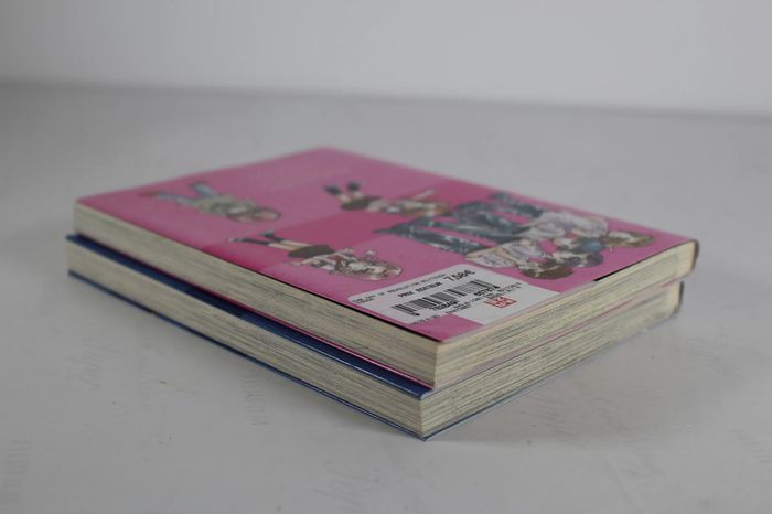 Kaze Manga The day of the Revolution Tome 1 et 2 - photo numéro 3