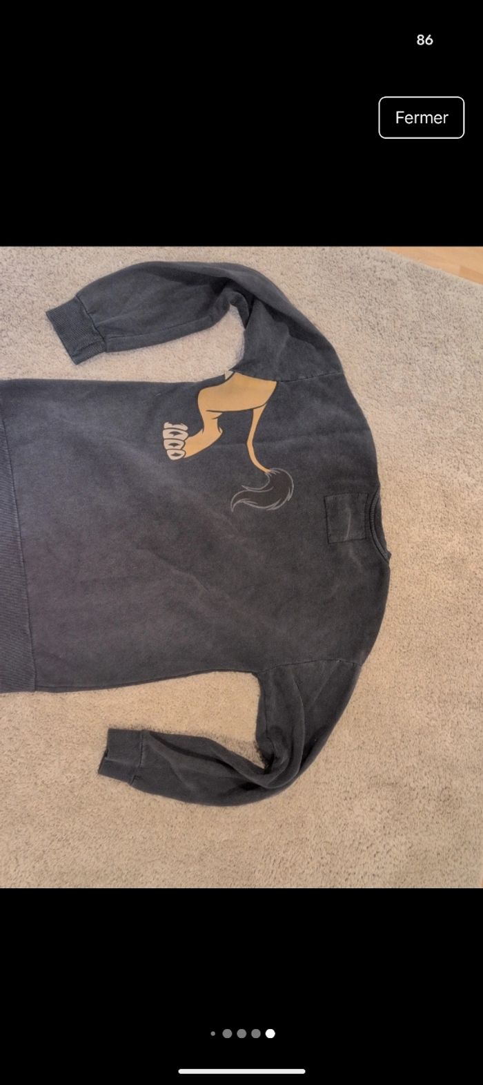 Pull le roi lion - photo numéro 4