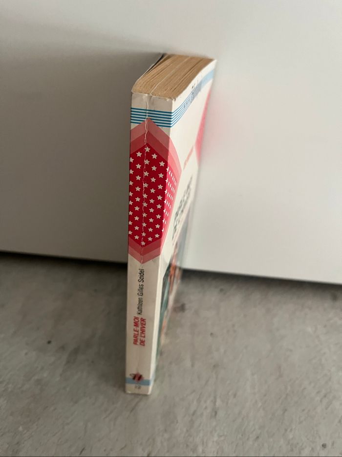 Parle-moi de l’hiver de Kathleen Gilles Seidel - photo numéro 3