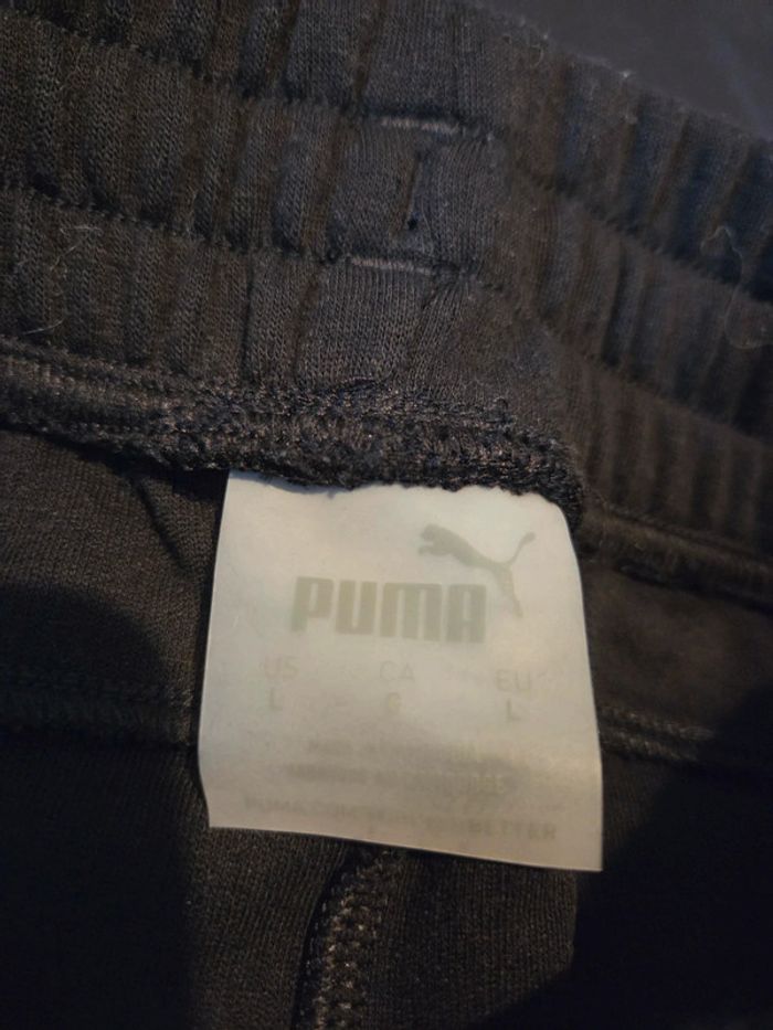 Short puma - photo numéro 3