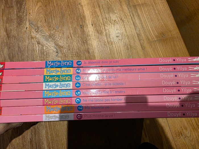 Bd marie lune - photo numéro 5