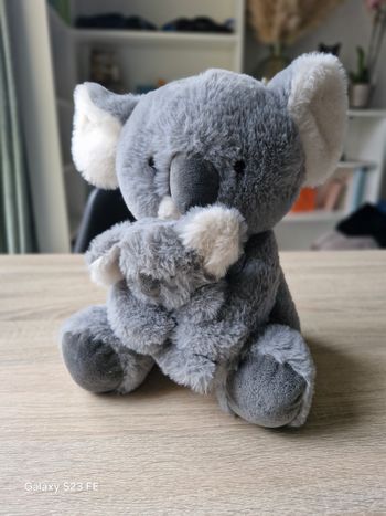 Grand koala et son bébé