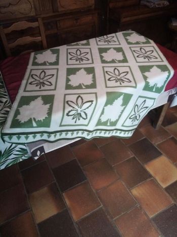 Plaid motif feuilles 1m58 x 1m16 neuf jamais servi